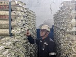 PT Timah Catat Pertumbuhan Laba Signifikan di Tengah Pasar Global yang Ketat