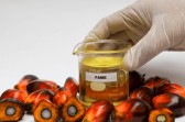 Mengenal Fatty Acid Methyl Ester (FAME), Bahan Baku untuk Biodiesel