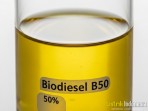 Ketergantungan Impor Metanol Hambat Penerapan B50 pada 2026
