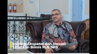 Strategi Ekspansi dan Inovasi, Lesatkan Bisnis PLN NPS