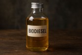 Tren Implementasi Biodiesel Selama Empat Tahun Terakhir, Ini Angkanya