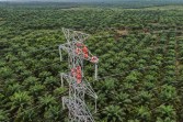 ASEAN Power Grid Jadi Kunci Akselerasi Transisi Energi Bersih di Asia Tenggara