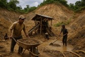 Operasi Tambang Rakyat Harus Diawasi!