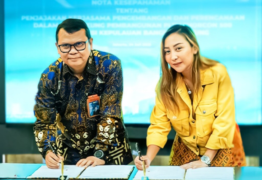 PLN NP dan Thorcon Serius Garap Proyek PLTN