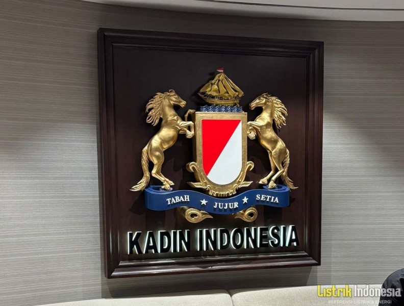 Sudah Berusia 38 Tahun, UU Kadin Dinilai Perlu Diperbarui