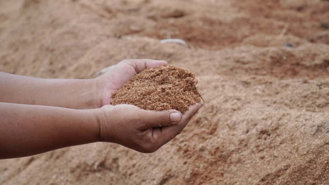 SDBN Gencar Pasok Biomassa untuk PLTU