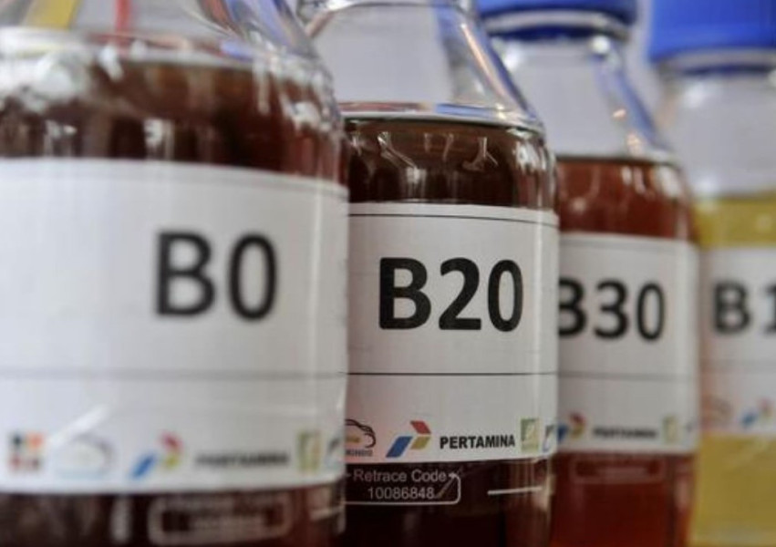 Mengintip Terobosan Prabowo untuk Bahan Bakar Biodiesel