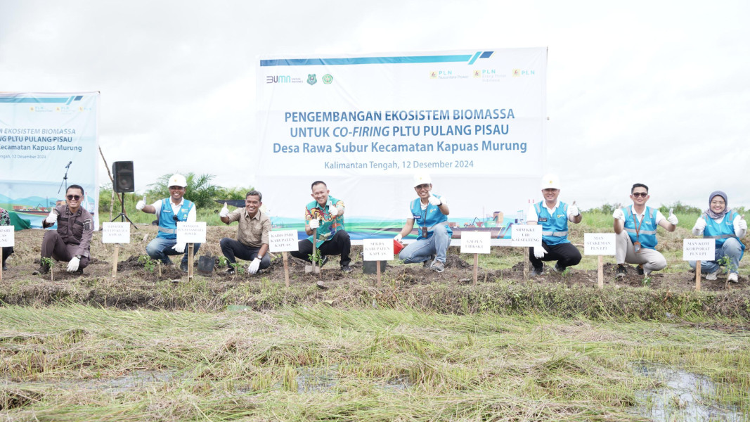 PLN EPI Kembangkan Tanaman Gamal untuk Cofiring PLTU Pulang Pisau