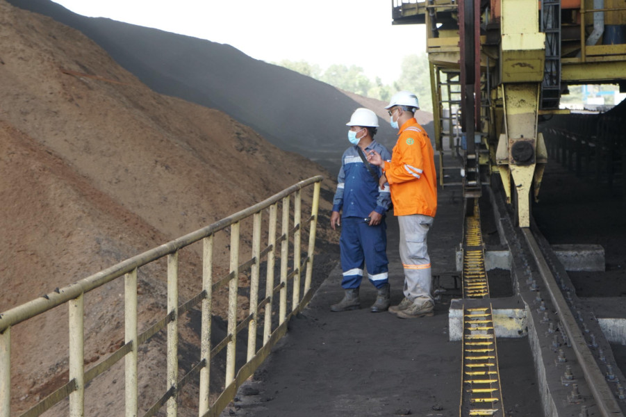 Serbuk Kayu Jadi Bahan Bakar PLTU Bengkayang