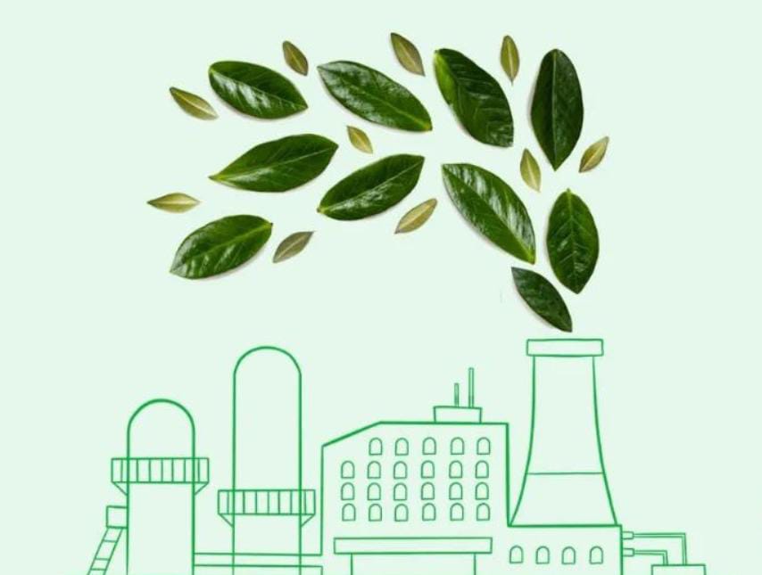 Memiliki Potensi Ratusan Triliun, Bisnis Karbon RI Menjanjikan?