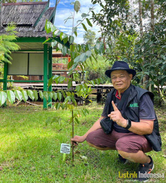 Energi dari dan untuk Alam: MLI dan HDI mendukung Pelestarian TN Tanjung Puting