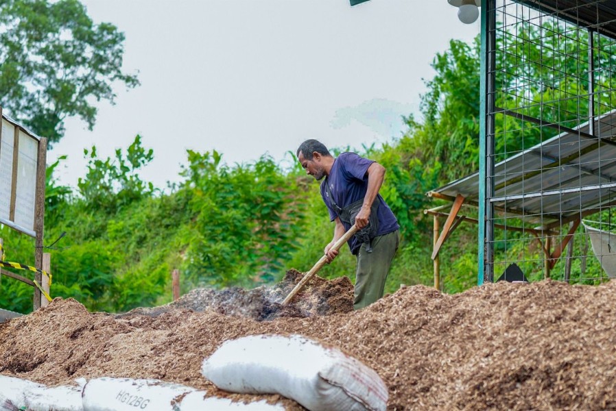 Bioenergi Jadi Pilar Ketahanan Energi