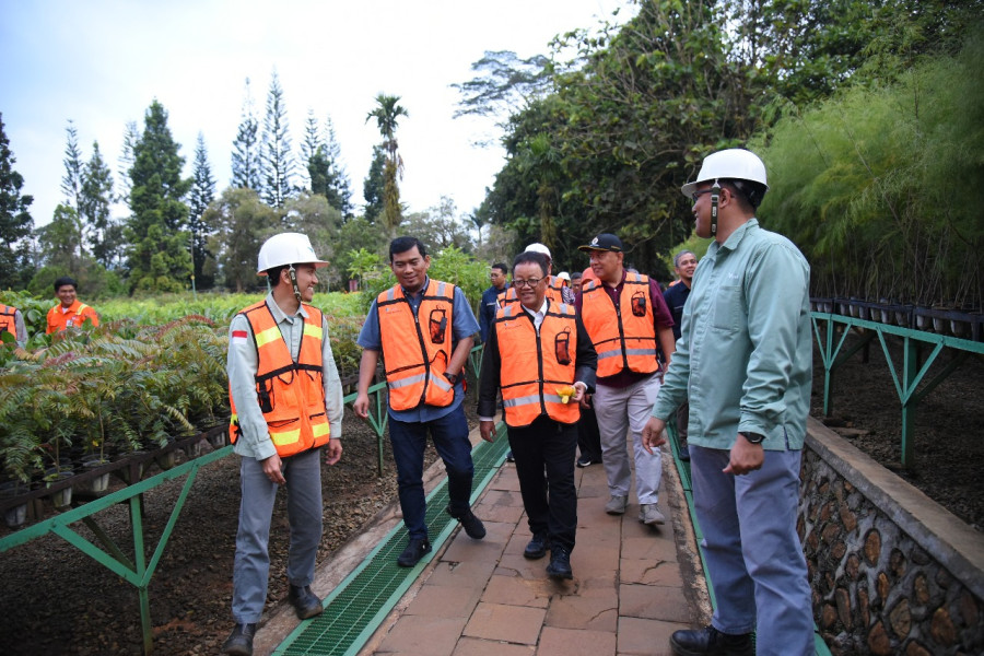 Reklamasi PT Vale, Dari Area Tambang Kini Menjadi Hutan Kembali