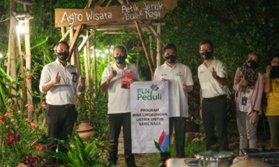 Kisah Sukses Petani Banyuwangi Raup Omzet Ratusan Juta Rupiah Berkat Listrik PLN