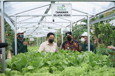Menteri BUMN Takjub Dengan Program Electrifying Agriculture PLN    